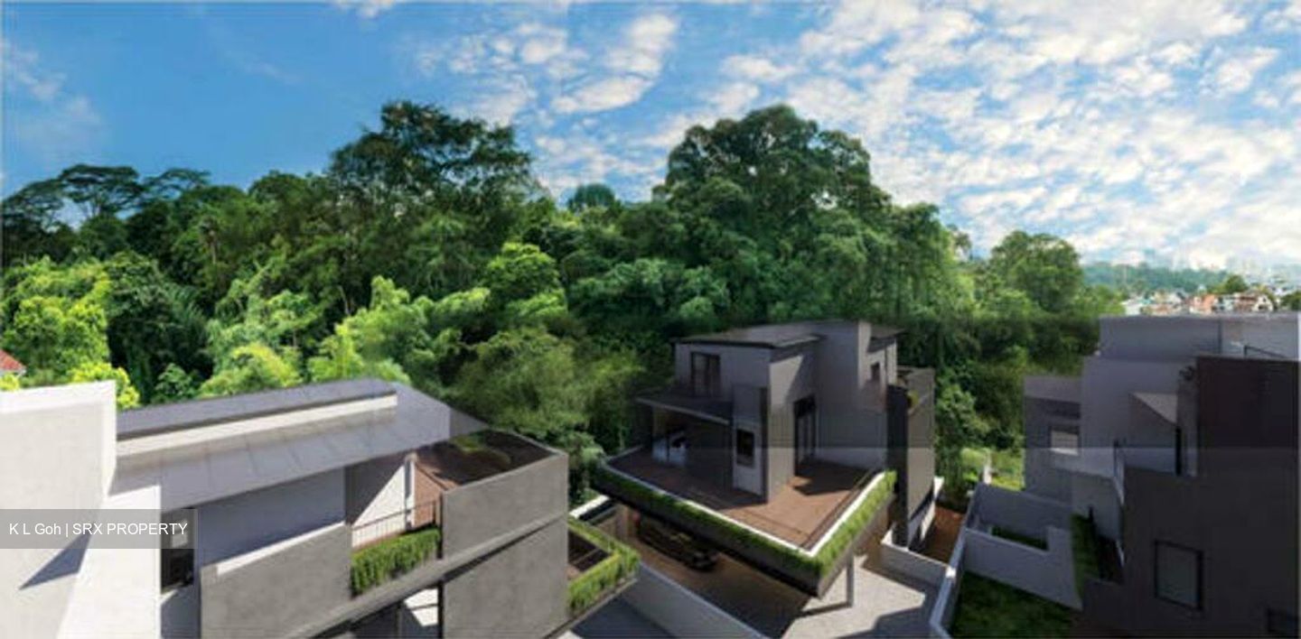 Kheam Hock Road (D11), Detached #443808121